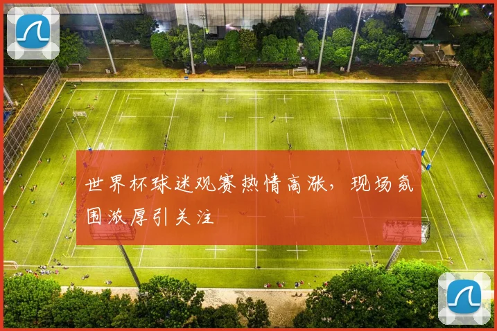 世界杯球迷观赛热情高涨，现场氛围浓厚引关注