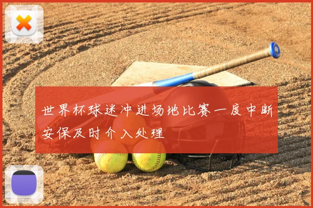 世界杯球迷冲进场地比赛一度中断安保及时介入处理