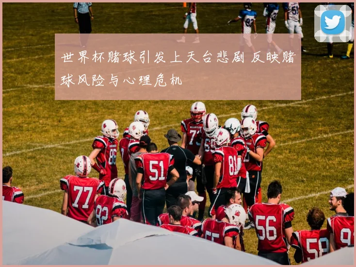 世界杯赌球引发上天台悲剧 反映赌球风险与心理危机